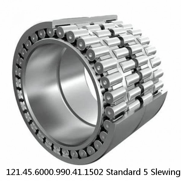 121.45.6000.990.41.1502 Standard 5 Slewing Ring Bearings