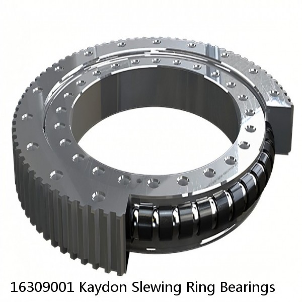 16309001 Kaydon Slewing Ring Bearings