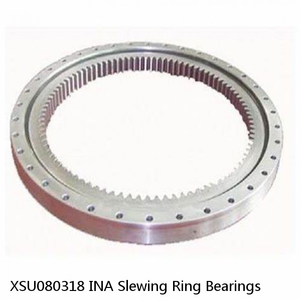 XSU080318 INA Slewing Ring Bearings