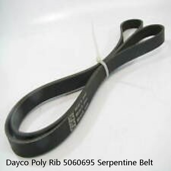 Dayco Poly Rib 5060695 Serpentine Belt